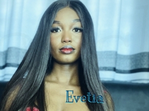 evetia Archive DVD BIZ