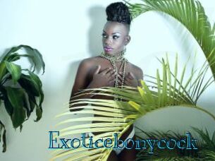 Exoticebonycock