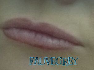 FAUVEGREY Archive DVD BIZ