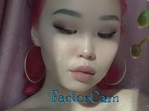 FactorCam
