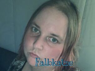 Falbkatze