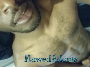 FlawedAdonis Archive DVD BIZ
