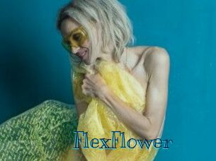 FlexFlower Archive DVD BIZ