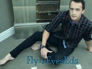 FlyInEyesEds