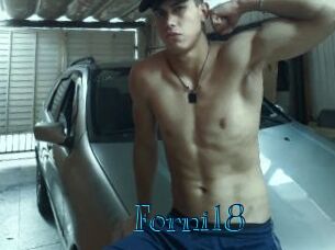 Forni18