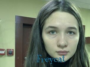 Freycat