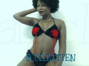 _FOXYKITTEN_ Archive DVD BIZ