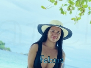 febari Archive DVD BIZ
