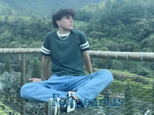 felipearias Archive DVD BIZ