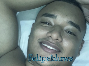 felipebluws Archive DVD BIZ
