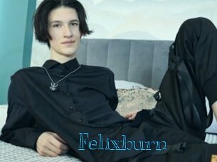 Felixburn