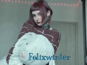 Felixwinter