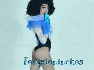 Fenixteninches