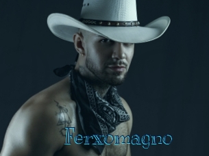 ferxomagno Archive DVD BIZ