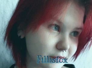 fillisfox Archive DVD BIZ