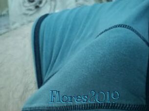 flores2019 Archive DVD BIZ