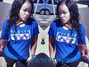 flowerlips Archive DVD BIZ