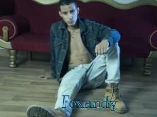 foxandy Archive DVD BIZ