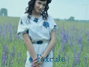 foxcute Archive DVD BIZ