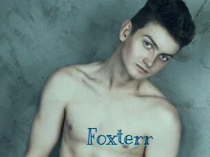 Foxterr