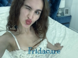 fridacure Archive DVD BIZ
