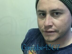 Gagabe4307