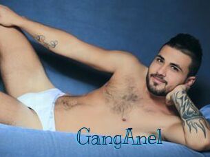 GangAnel