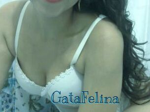 GataFelina