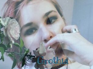 Grothia