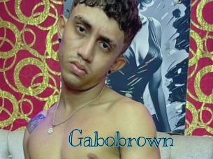gabobrown Archive DVD BIZ