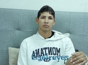 gaelreyes Archive DVD BIZ