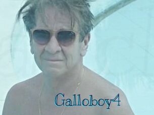 Galloboy4