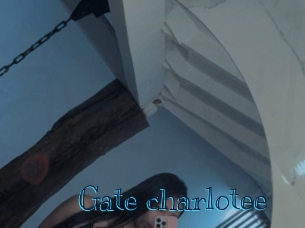 Gate_charlotee