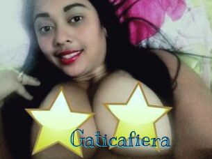 Gaticafiera