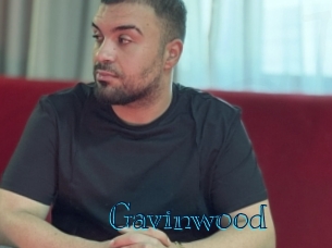 gavinwood Archive DVD BIZ