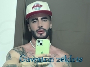 gawainn_zeldris Archive DVD BIZ