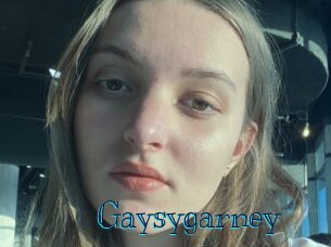 Gaysygarney