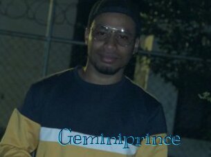 geminiprince Archive DVD BIZ
