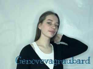 genovevagraubard Archive DVD BIZ