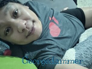 Georgedammer