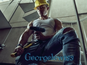georgelewiss Archive DVD BIZ