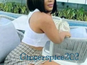 Gingerspice202
