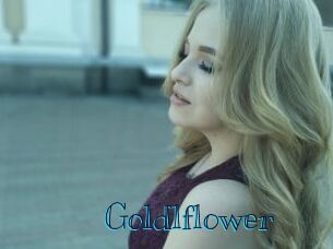Goldlflower