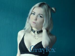 Grayfox