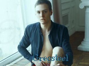 gregsteel Archive DVD BIZ