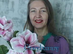 Greybunny
