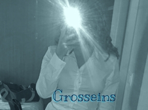 Grosseins