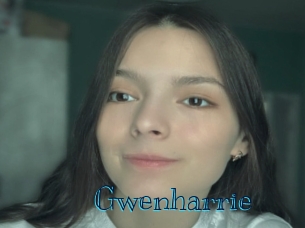 gwenharrie Archive DVD BIZ