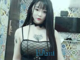 HAmi