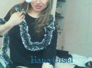 HairyGisel Archive DVD BIZ